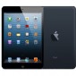 Apple iPad mini 16 Gb 4G 