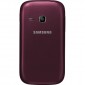 Samsung S6312 Galaxy Young Duos 