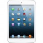 Apple iPad mini 32 Gb WiFi + 4G (Cellular) 