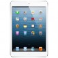 Apple iPad mini 64 Gb WiFi + 4G (Cellular) белый Apple iPad mini 64 Gb WiFi + 4G (Cellular) белый
